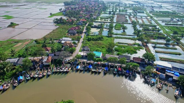 Aerial drone footage of rice fields, with mud and water, natural fish farms around, some local small villages, and many fishing boats in the river in Domas area, Serang regency, Java island, Indonesia