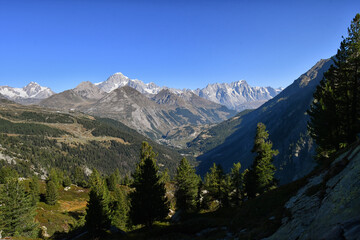 Obraz premium Il Monte Bianco e le Grand Jorasses visti salendo ai laghi di Bellacombe,sopra La thuille
