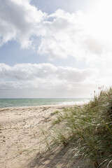 Sandy beach with marran grass swaying on the dunes on a sunny autumn day.