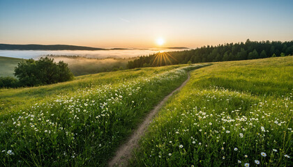 Obraz premium Wildflower meadow with mist and dirt road at sunrise