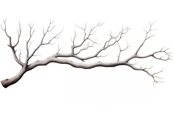 Fototapeta premium Drawing tree branch sketch.