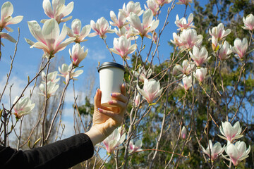 Hand holding paper cup against blooming magnolia flowers outdoors