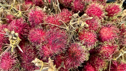 Obraz premium Fresh red rambutan fruits with stems in a local tropical market.