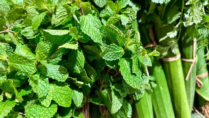 Close-up of fresh green mint leaves with bundles of cilantro and organic herbs at a market. © digital Nomader