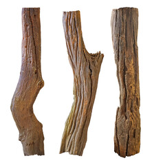 Willow log isolate. Broken tree branches with detached bark. Rustic wood branch. Weathered driftwood log isolated.