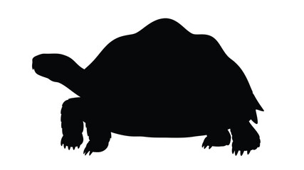 a striking black turtle silhouette against a plain white background © asma