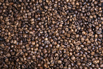 Fototapeta premium Top Down Close Up of Home Roasted Coffee Beans on Baking Tray 