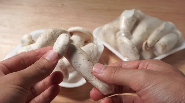 hand holding a bunch of fresh mushrooms