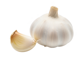 Single garlic bulb with clove