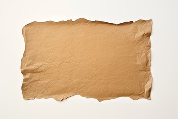 Obraz premium Ripped brown paper backgrounds white background cardboard.