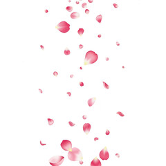 Delicate petals in soft descent isolated on transparent background