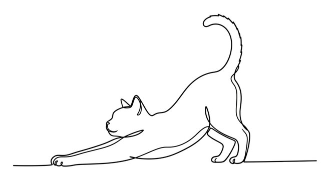 Cat Stretching in Simple Line Drawing Style.