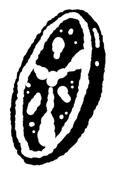 Round Tomato Slice Black and White Vector
