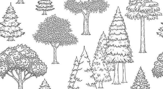 Seamless black and white pattern of various hand-drawn trees including pine and deciduous types for a forest-themed design.