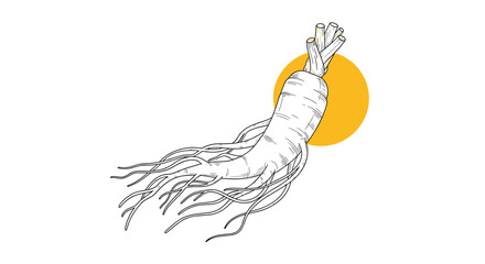 Hand-drawn sketch of a ginseng root with a vibrant yellow sun circle in the background for traditional medicine concepts.