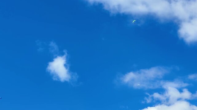 Paragliders soar in a bright blue sky with fluffy clouds on a sunny day
