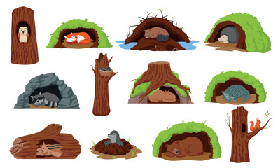 A vector set of forest animals in their burrows. The illustration depicts foxes, bears, and badgers sleeping in burrows. Some animals are nesting in tree hollows and logs
