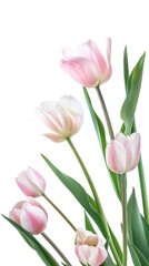Obraz premium Tulips Floral spring background. Floral background with tulips and assorted blooming flowers. Fresh colorful flower composition for seasonal design, invitations, banners and decorative projects. 