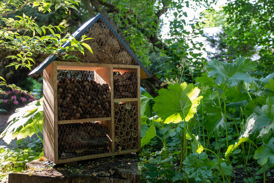 Insect hotel made of wood in a green garden