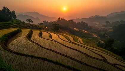 Fototapeta premium Peaceful Rice Terraces at Sunset with Golden Hour Glow