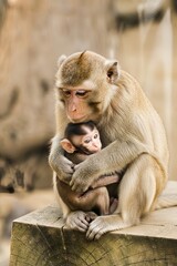 Naklejka premium mother and baby