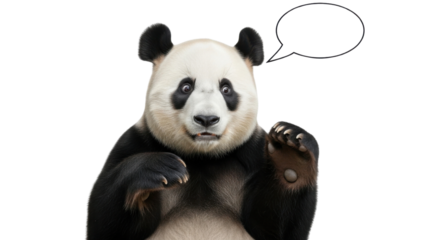 白い背景に吹き出しを持つパンダの上半身