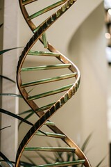 A close-up view of a gold DNA sculpture indoors