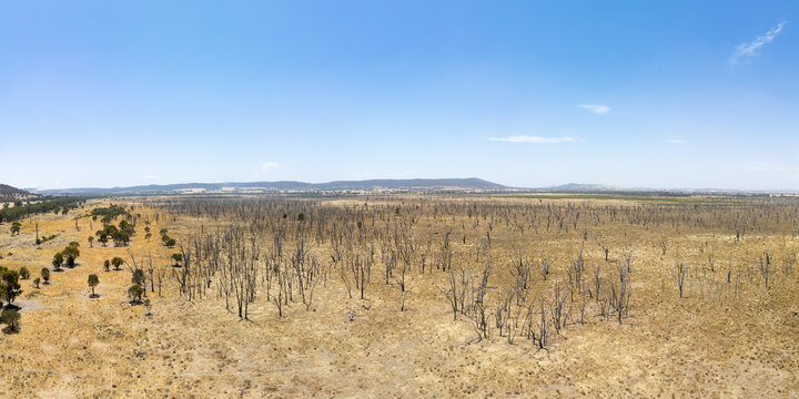 Winton Wetlands in Victoria Australia