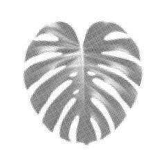 Monstera leaf icon in halftone style. Vector illustration of a tropical plant leaf with dot texture on white background. © drawing lines