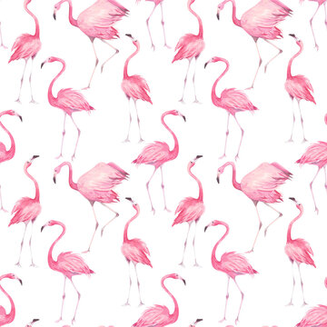 Animal seamless pattern with pink flamingos.
