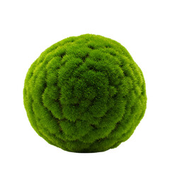 Lush green moss decorative ball, clean cut-out on transparent