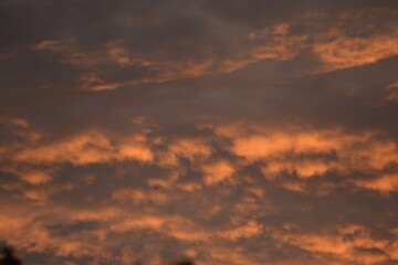 Fototapeta premium Golden Dramatic Sunset Cloudscape Background