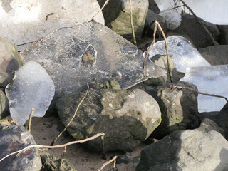 Drift ice on the Elbe in January © Klaus Schulz