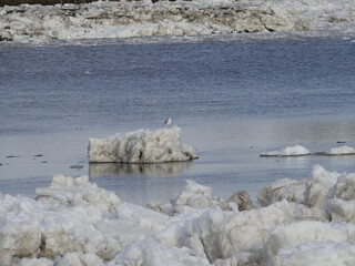 Drift ice on the Elbe in January © Klaus Schulz