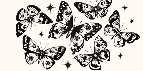 A collection of ornate black and white butterflies with sparkling star details © Raben