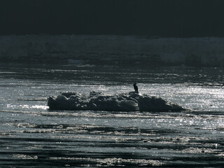 Drift ice on the Elbe in January © Klaus Schulz
