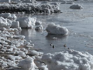 Drift ice on the Elbe in January © Klaus Schulz