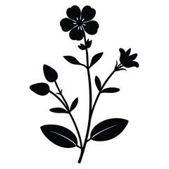 anagallis arvensis silhouette vector