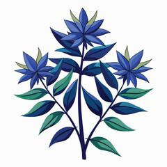 amsonia hubrichtii flower vector