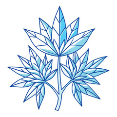 amsonia blue ice line art vector flower