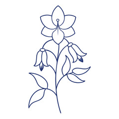minimal aconitum napellus line art on white background