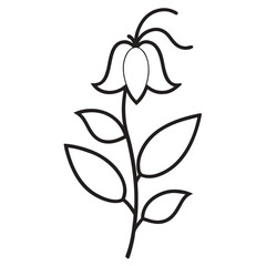 aconitum napellus line art vector flower on white