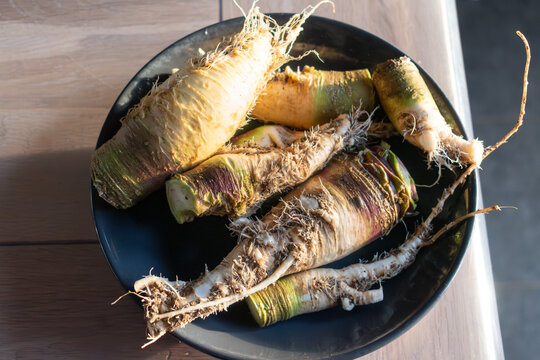Rutabaga, root cabbage or swede is a hardy vegetable rich in vitamin C