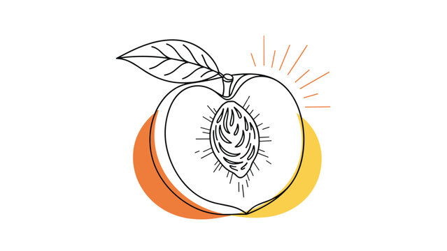 Artistic line drawing of a juicy peach cut in half to show the inner pit against a vibrant orange and yellow circular background.