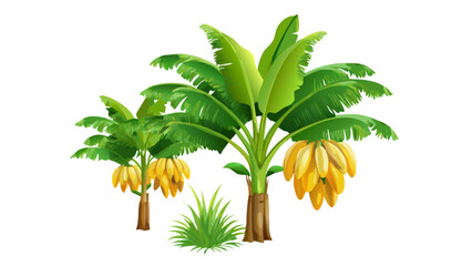 Obraz premium Banana Tree with Yellow Banana Bunch Vector Illustration