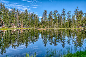 Obraz premium A lake with a forest in the background