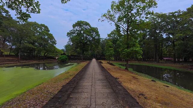 The sound of birds near Bapuon Temple near Siem Reap, Cambodia