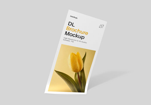 Realistic DL Flyer Brochure Mockup Template