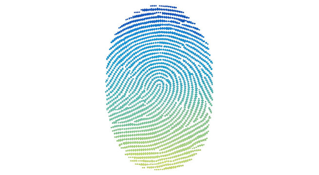 Colorful fingerprint blue and yellow isolated on a transparent background