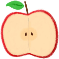 사과 단면 일러스트